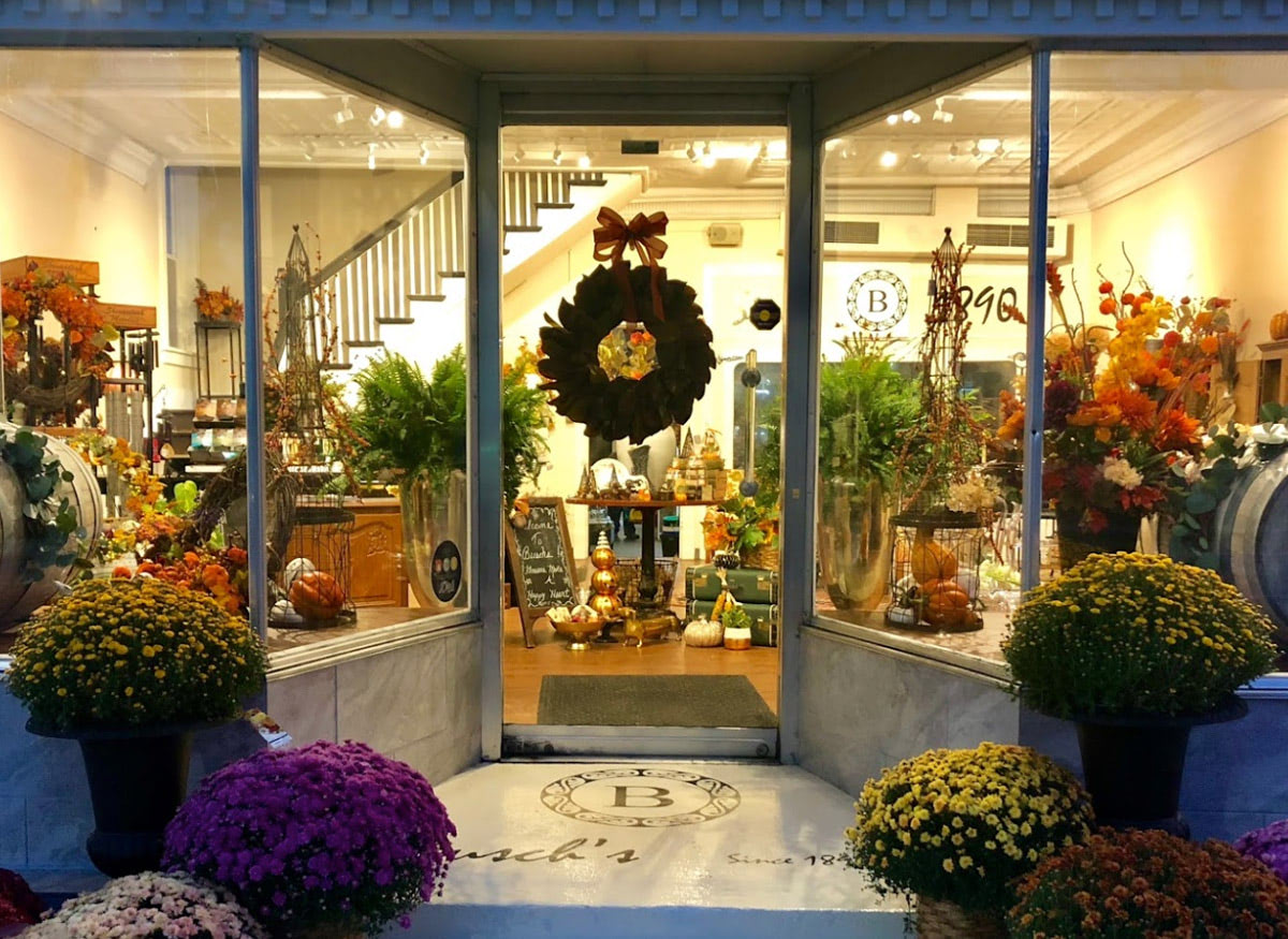 The evening view from outside, looking through our front door